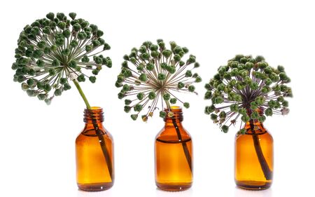 Three onion flowers in bottles on a white background. Isolated objectsの写真素材