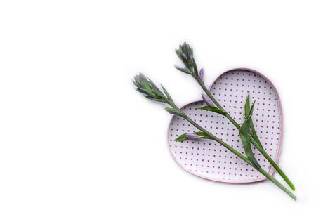 Flower arrangement with heart-shaped gift wrapping. Isolated object on white background. Copy spaceの写真素材