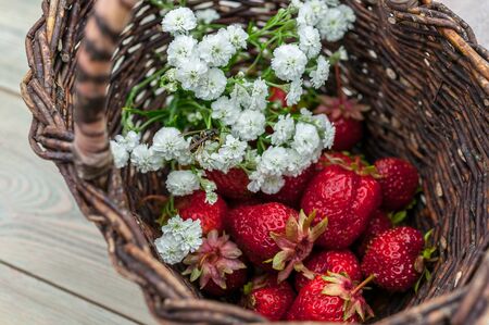 Close-Up strawberries in a basket. Summer food composition on a wooden table.の写真素材