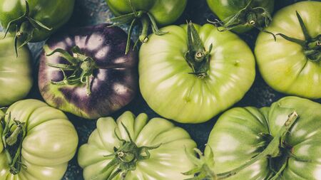Food banner green tomatoes close-up on a blue concrete background. Top viewの写真素材