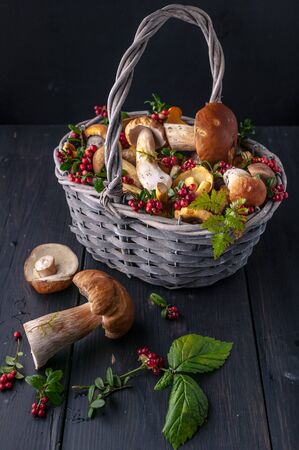 Basket with wild mushrooms and berries on a dark background. Close-up. Vertical shotの写真素材