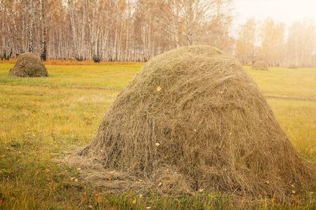 Haystack on a background autumn forest. Wild food in winter. Wildlife Care Concept. Horizontal shotの写真素材