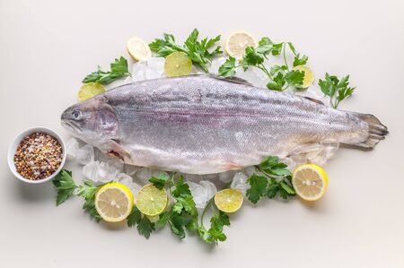 Fresh sea salmon. Spices, lemon, fresh parsley and ice. Light background. Organic foodの写真素材