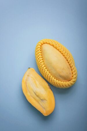 Ripe mango fruit on a blue background. Vertical shot. Copy spaceの写真素材