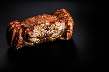 Delicious seafood. Red crab on black background. Vertical shot. Close-up.