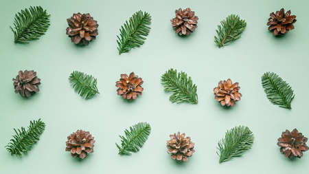 Christmas pattern with green fir branches and cones on a light green background. Web banner format....