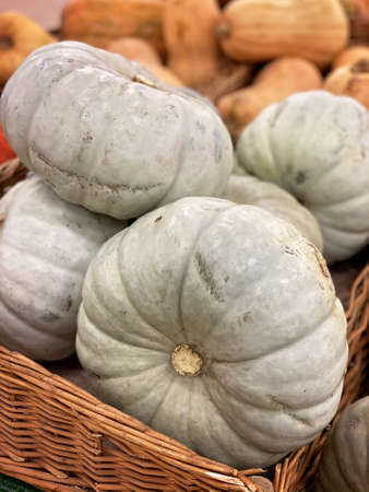 Various pumpkins in a basket. Autumn harvest concept. Vertical shotの写真素材