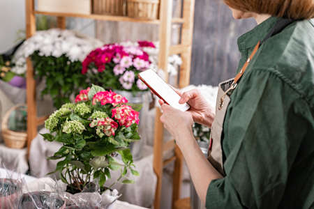 Hands florist holding a smartphone. She accepts the order using Internet technologies. Florist workplace. Small business concept. Flowers and accessories. Side view.の写真素材