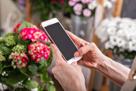 Close-up hands florist holding a smartphone. She accepts the order using Internet technologies. Florist workplace. Small business concept. Flowers and accessories. Side view.の写真素材