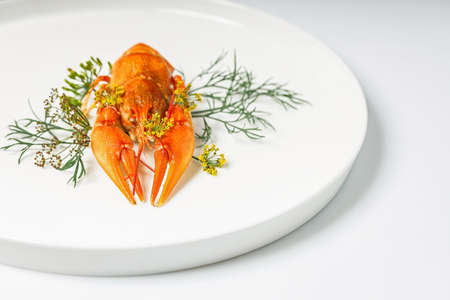 Close-up boiled orange crayfish with dill on a white plate on a white plate. Cooked freshwater...