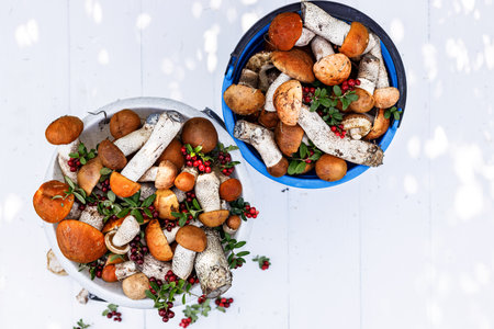 Orange cap boletus mushrooms and lingonberry in buckets on a rustic background. Collecting wild mushrooms and berries in the forest. Autumn season of edible forest mushrooms and berries. Copy spaceの写真素材
