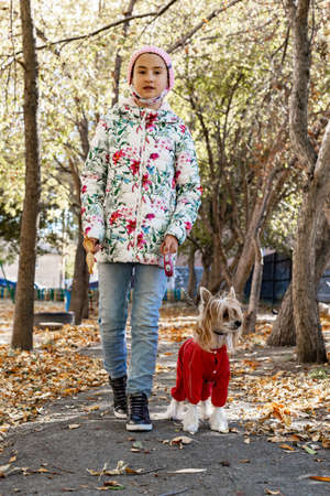 Attractive caucasian teenage girl walks with a dog along an autumn alley on a sunny day. Pet care...