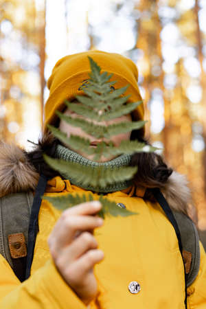 Unknown person in an orange jacket and hat holds fern. Hiking in the autumn forest. A girl holds...