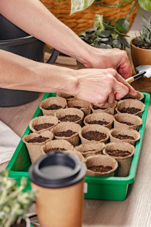 Female hands prepare peat pots with soil for planting seeds. Process of preparation prepended seedlings for the new season. Home gardening concept. domestic life and hobbies. vertical shotの写真素材