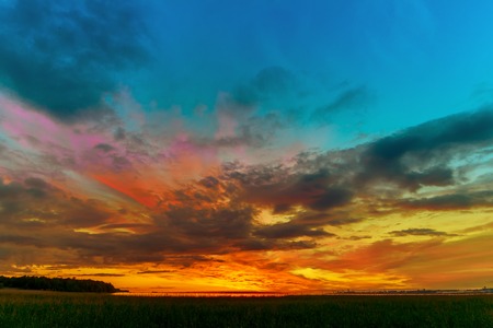 Bright and colorful sunset with green grassの写真素材