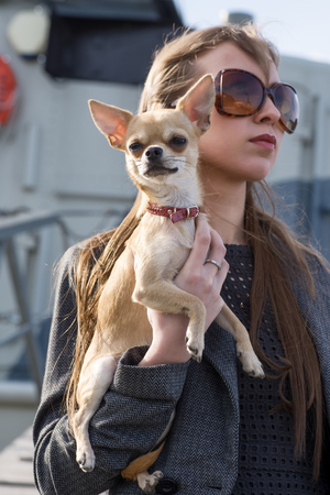 pretty woman in sunglasses with small chihuahua in handsの写真素材