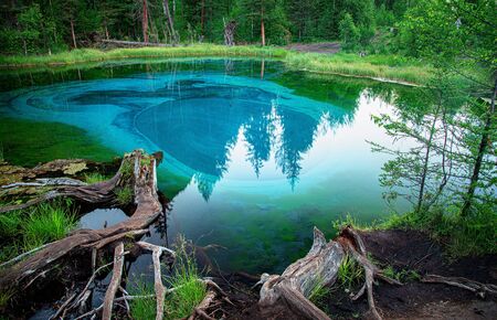 blue lake in which fountains at the bottom color blue circles in the vicinity of the village Aktash, Altai Mountainsの写真素材