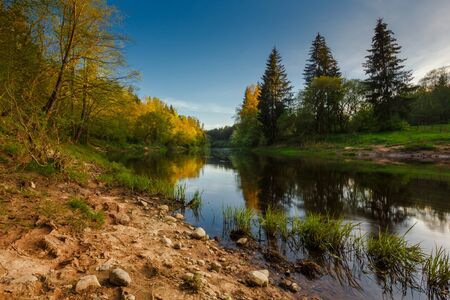 Landscape overlooking the river and the forest. In the foreground are stonesの写真素材
