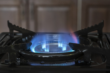 blue gas burns on the stove