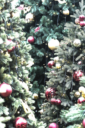 fir-tree decorated with Christmas balls and ribbons, traditional New Year holidayの写真素材