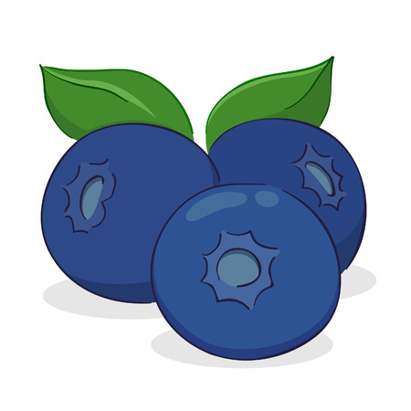 Vector illustration of three blueberry fruitsのイラスト素材