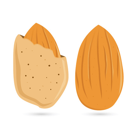 Vector stock of almond nut with kernelのイラスト素材