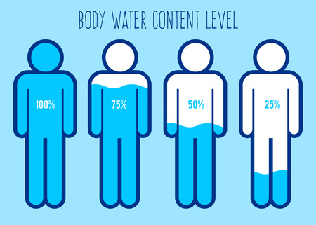 Vector stock of water content charts percentage in human bodyのイラスト素材