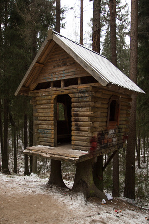 cabin in the woodsのeditorial素材