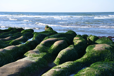 Stone Trench of Laomei Coastの写真素材