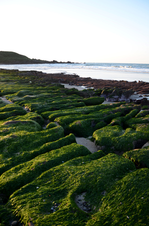 Stone Trench of Laomei Coastの写真素材