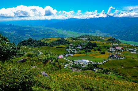 Hemerocallis fulva, Orange Daylily, The Orange day lily flower at sixty stone mountain, Fuli, Hualien, Taiwanの写真素材