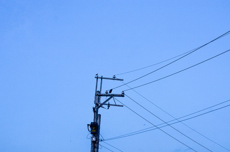 telephone pole cable