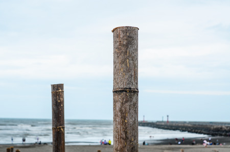 Bamboo seaside sand