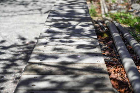 Wooden seat in the park.