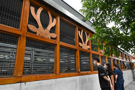 Yilan, Taiwan-NOV 15, 2020: Bambi Land is the park for breeding bambi.のeditorial素材