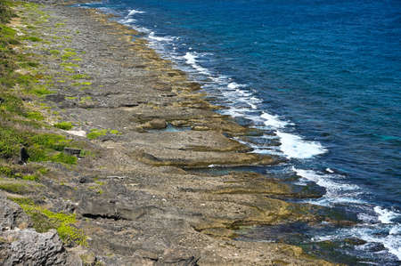 Wave-cut platform by the sea.