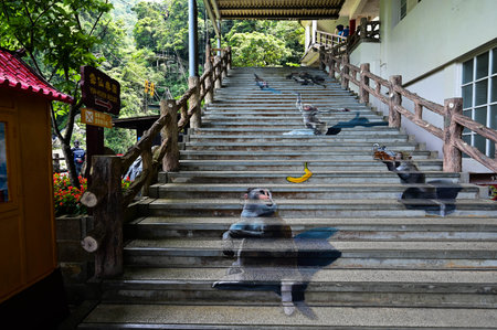 Wulai District, New Taipei City, Taiwan - APR 10, 2022: Yun-Hsien Park in Wulai.のeditorial素材
