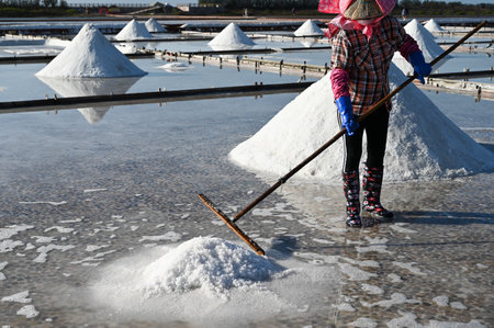 Salt farmer in the Jingzaijiao Tile-Paved Salt Fields at Tainan, Taiwan