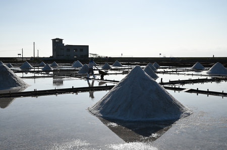 Tainan City, Taiwan - NOV 19, 2022: Jingzaijiao Tile-Paved Salt Fields.のeditorial素材