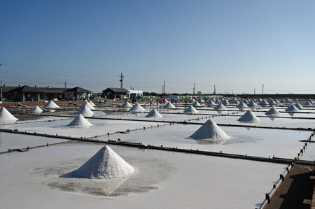 Jingzaijiao Tile-Paved Salt Fields in Tainan City, Taiwan.のeditorial素材