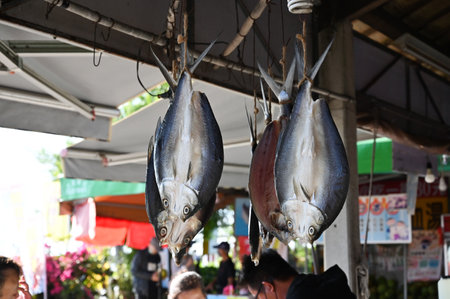 Tainan City, Taiwan - NOV 19, 2022: Milkfish hanging to dry outdoorsのeditorial素材