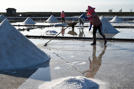 Salt farmer in the Jingzaijiao Tile-Paved Salt Fields at Tainan, Taiwan