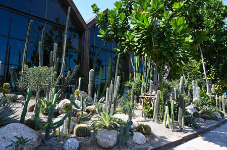 Kanchanaburi, Thailand - DEC 22, 2022: The village farm to cafe is a coffee shop with many cactus decorations planted in front of the shop.のeditorial素材
