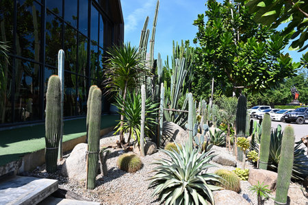Kanchanaburi, Thailand - DEC 22, 2022: The village farm to cafe is a coffee shop with many cactus decorations planted in front of the shop.のeditorial素材