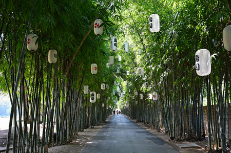 Kanchanaburi, Thailand - DEC 22, 2022: Bamboo forest decorated with Japanese lanterns at The village farm to cafe restaurant.のeditorial素材