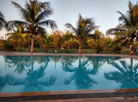 The amazing POOLのeditorial素材