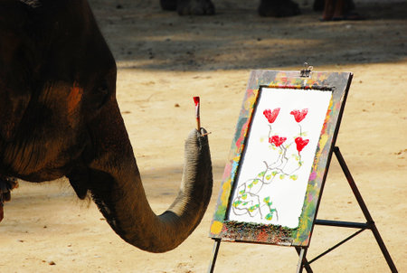 Elephant drawingの写真素材