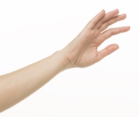Open Female hand gesture, isolated on whiteの写真素材
