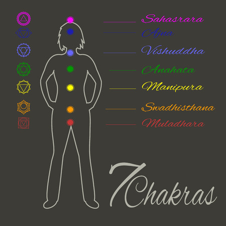 Location of main seven yoga chakras on the human body.のイラスト素材