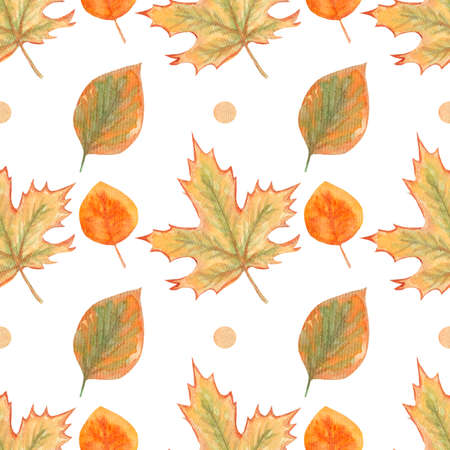Watercolor seamless autumn pattern, maple and simple leaves on a white background.の写真素材